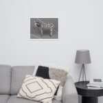 Premium framed photo poster ‘Zebra’
