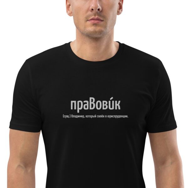 Именная футболка "праВови́к" - Владимир